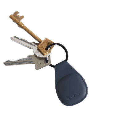 Canopy AirTag Keychain