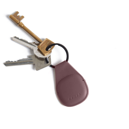 Canopy AirTag Keychain